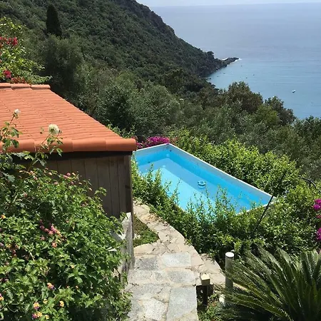 Cliff Top